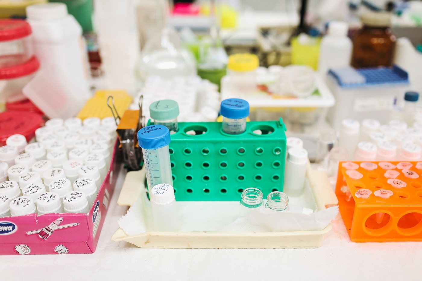 Laboratory bench with prepared sample tubes, vials and reagents